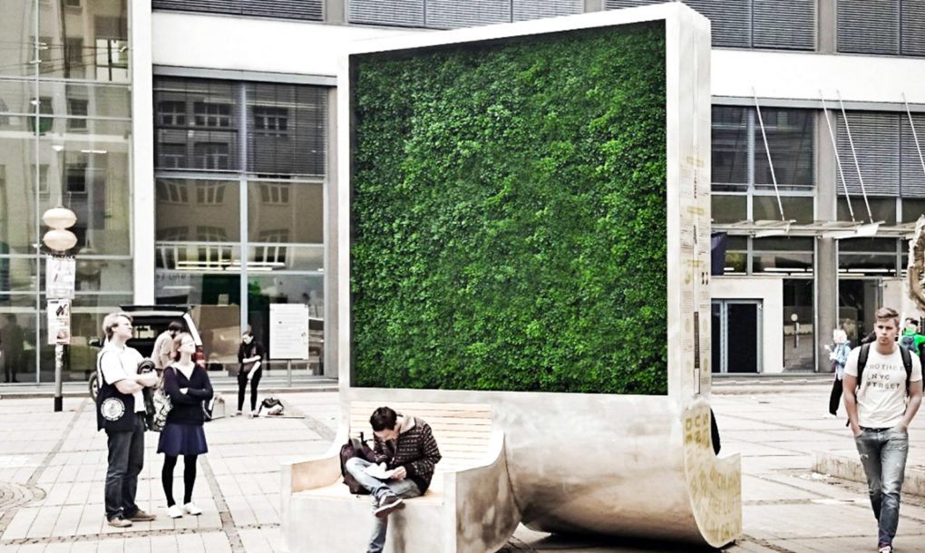 “Πράσινοι” τοίχοι στις πόλεις καθαρίζουν τον αέρα όπως 275 δέντρα… - Εικόνα 2