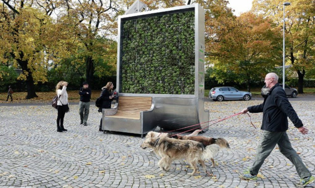 “Πράσινοι” τοίχοι στις πόλεις καθαρίζουν τον αέρα όπως 275 δέντρα… - Εικόνα 4