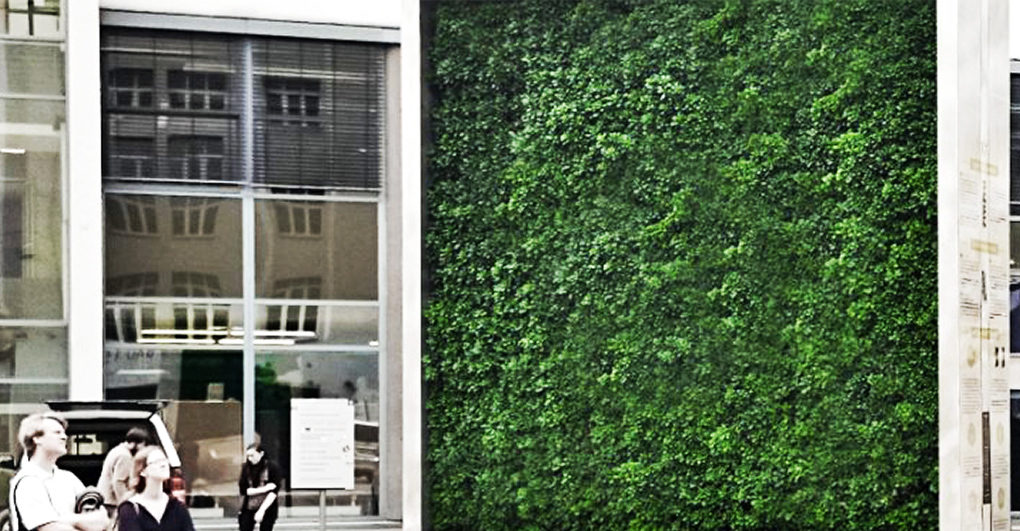 “Πράσινοι” τοίχοι στις πόλεις καθαρίζουν τον αέρα όπως 275 δέντρα… - Εικόνα 6