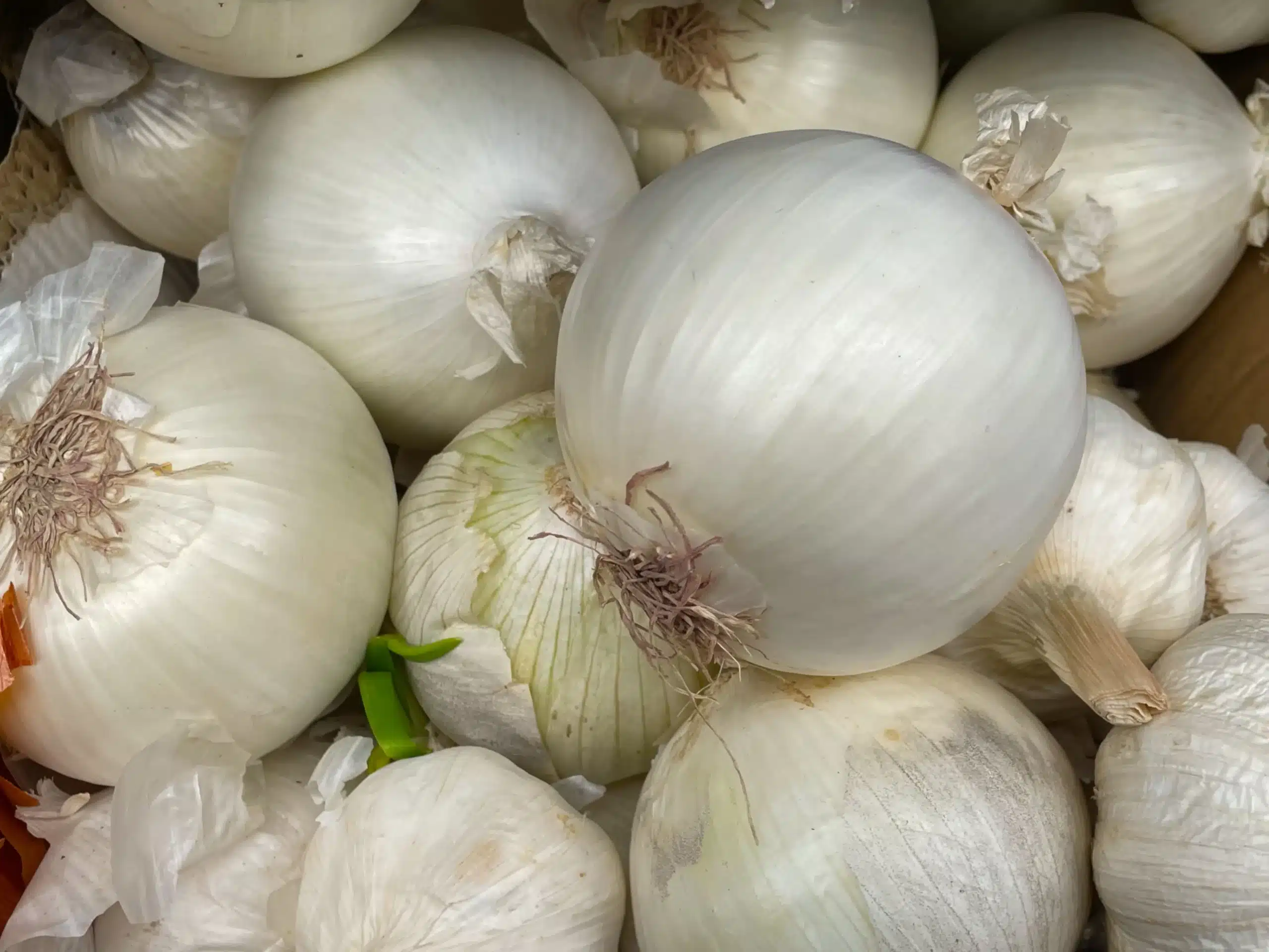 whitespanishonion500g scaled