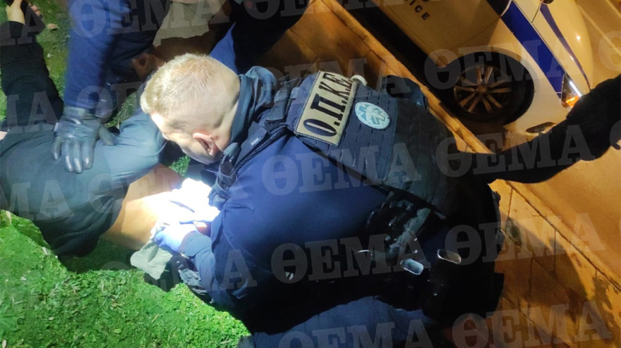 votanikos_silipsi___2_