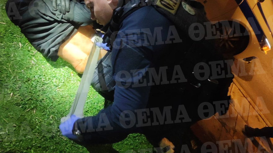 votanikos_silipsi___1_