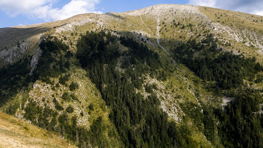 16χρονη επέζησε από συντριβή αεροσκάφους εφαρμόζοντας τεχνικές επιβίωσης που έμαθε από την τηλεόραση