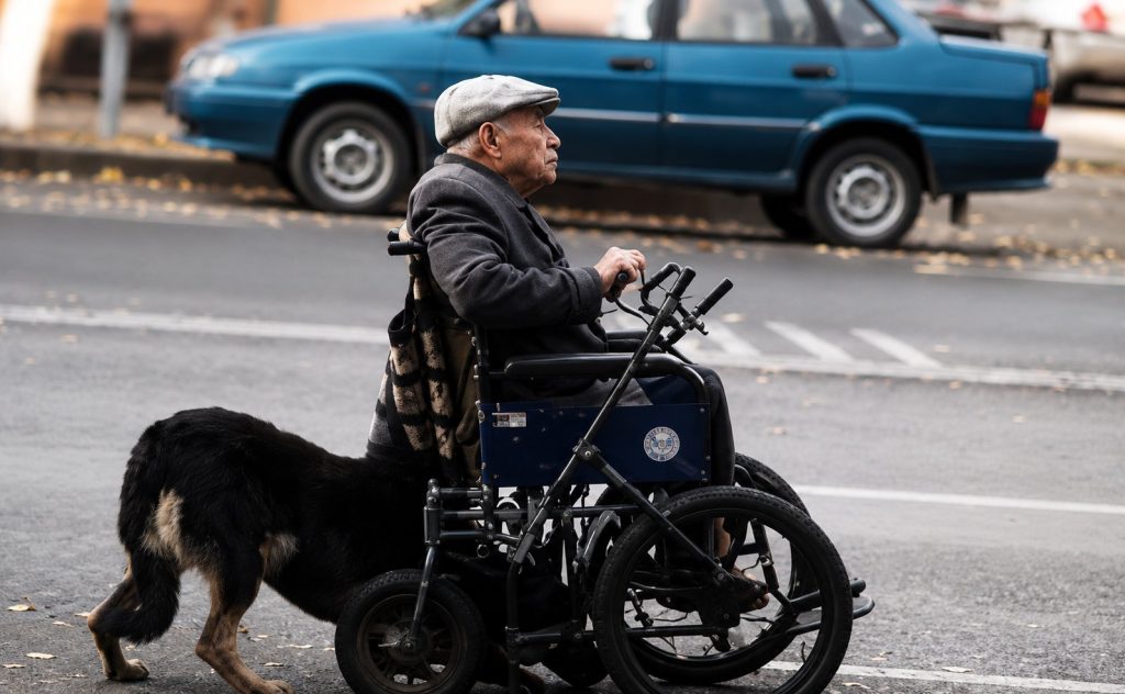 Η ιστορία του Μάγκνους, του σκύλου που σπρώχνει το αμαξίδιο του ιδιοκτήτη του στους δρόμους της πόλης