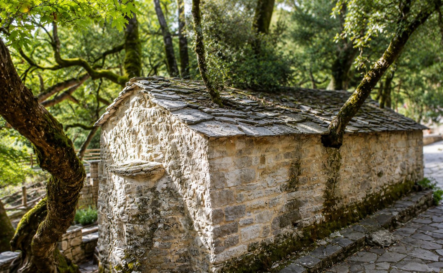 Η εκκλησία της Αγίας Θεοδώρας στην Αρκαδία: Το θαύμα με τα 17 δέντρα στη στέγη