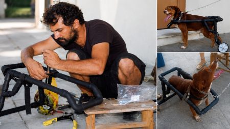 Υδραυλικός κατασκευάζει χειροποίητα αναπηρικά καροτσάκια για σκύλους που έχουν ανάγκη