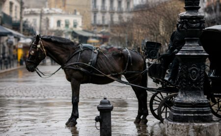 Η οδός Πατησίων πριν από 100 χρόνια σε σπάνιες φωτογραφίες
