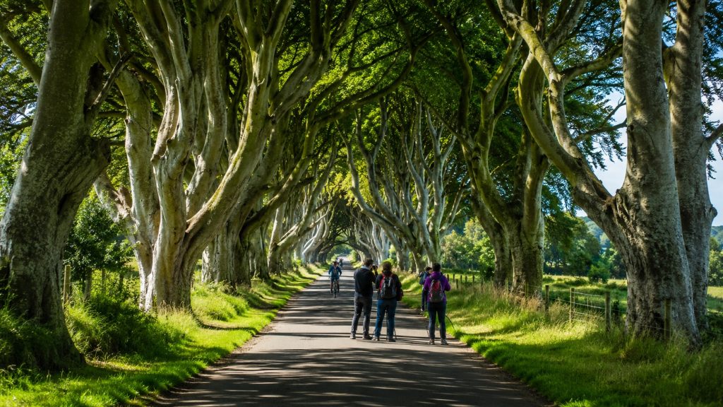 Περιήγηση στο Dark Hedges, το ατμοσφαιρικό δάσος της Βόρειας Ιρλανδίας που μάγεψε το Game of Thrones