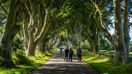 Περιήγηση στο Dark Hedges, το ατμοσφαιρικό δάσος της Βόρειας Ιρλανδίας που μάγεψε το Game of Thrones