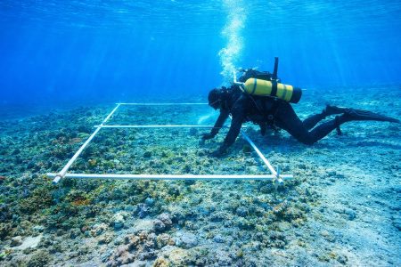 Αρχαιολόγοι εντόπισαν προϊστορικό δρόμο 7.000 ετών στον βυθό της Κροατίας