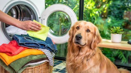 Ένας απλός τρόπος για να αφαιρείτε τις τρίχες των κατοικιδίων από τα ρούχα στο πλυντήριο