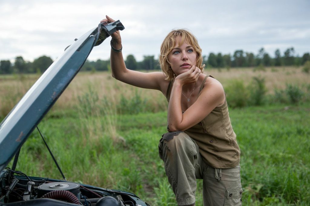 Παραφλού ή νερό στο ψυγείο του αυτοκινήτου; Τι προτείνουν οι ειδικοί