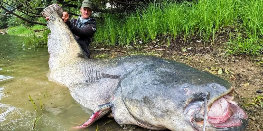 Ψαράς στην Τσεχία έπιασε ψάρι μήκους 2,70 μέτρων μετά από 50 λεπτά προσπαθειών