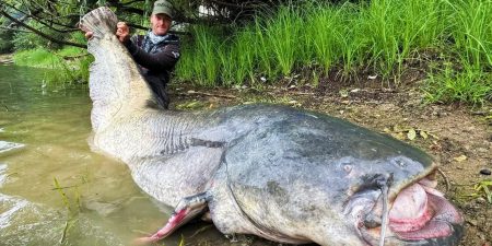 Ψαράς στην Τσεχία έπιασε ψάρι μήκους 2,70 μέτρων μετά από 50 λεπτά προσπαθειών