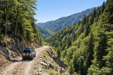 Η διαδρομή προς το δάσος Φρακτού στη Ροδόπη και τα μοναδικά φυσικά τοπία της