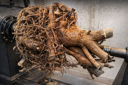 Η μεταμόρφωση ενός προβληματικού κομματιού ξύλου σε ένα εντυπωσιακό έργο τέχνης